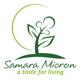 CV Samara Micron Saleronell